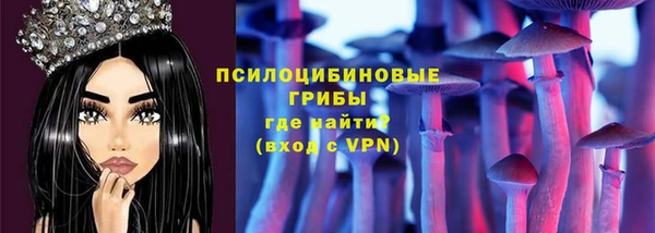 крисы Баксан