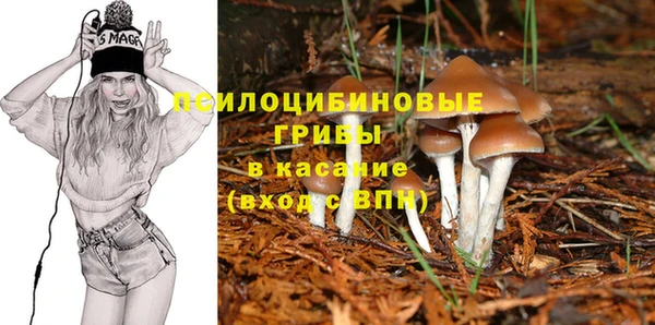 крисы Баксан