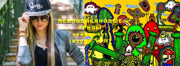 крисы Баксан