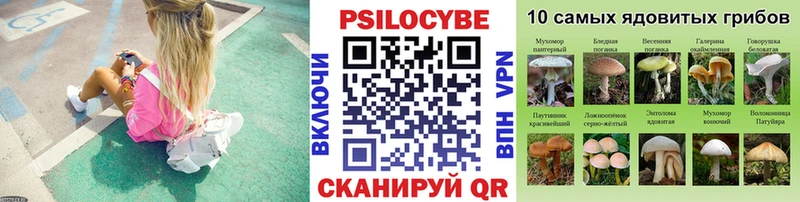 Галлюциногенные грибы Psilocybe  сайты даркнета какой сайт  Губаха 