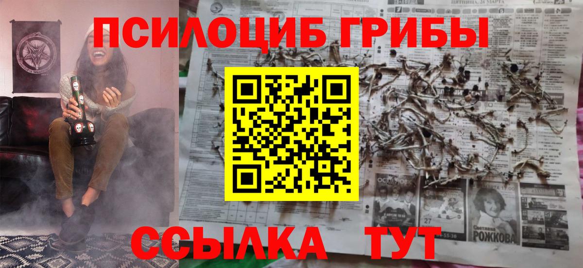 Губаха  Псилоцибиновые грибы MAGIC MUSHROOMS  Псилоцибиновые грибы ЛСД  Вход с VPN 